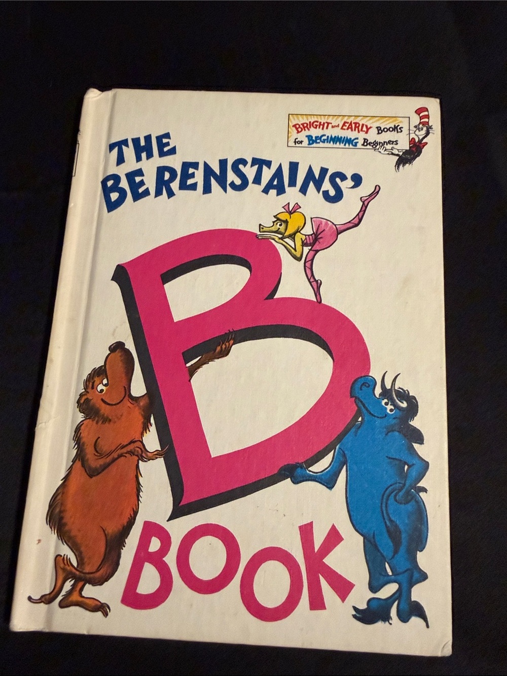 The Berenstains B Book